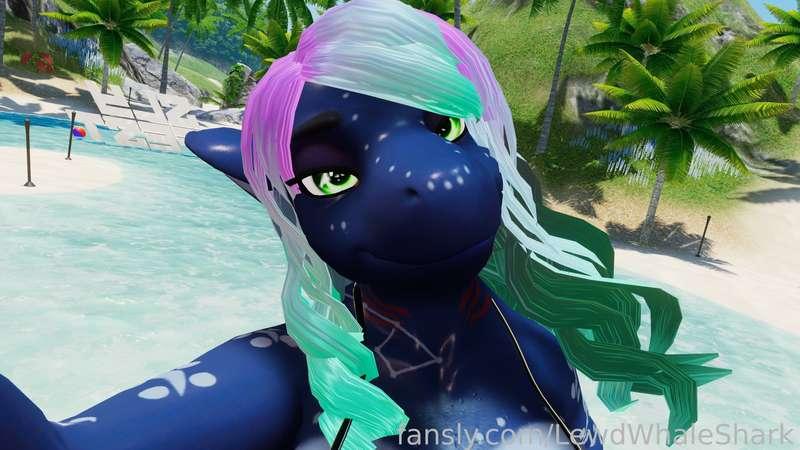 lewdwhaleshark image #5