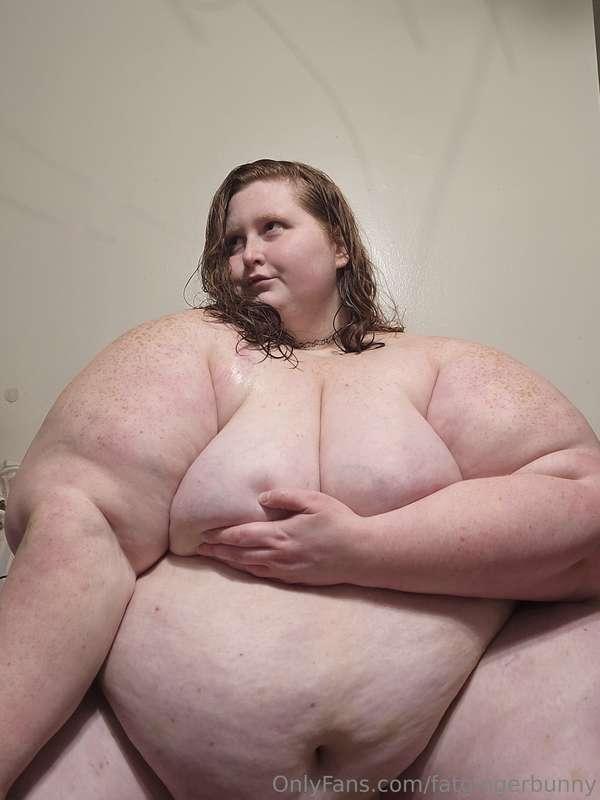 fatgingerbunny image #2