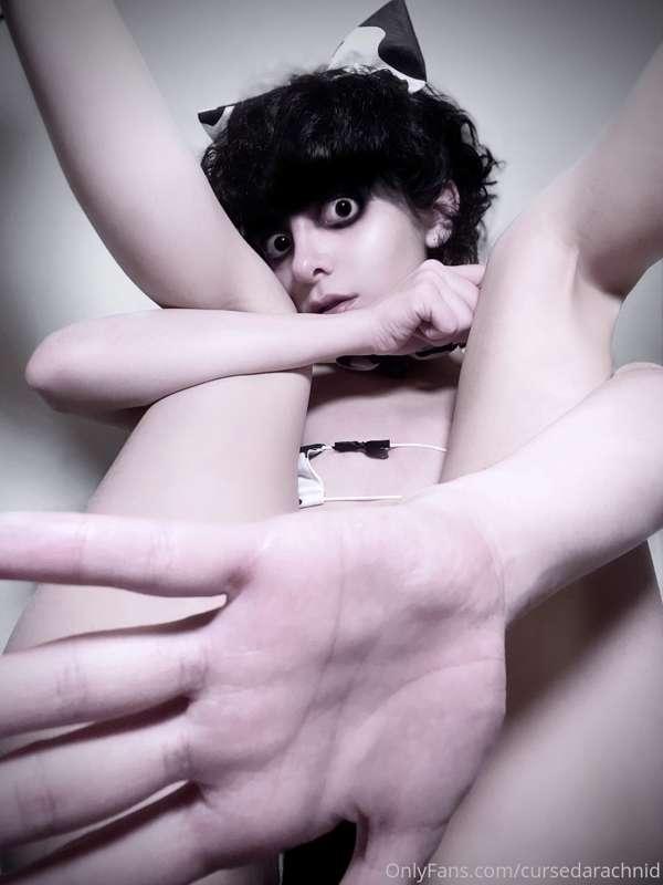 cursedarachnid image #5