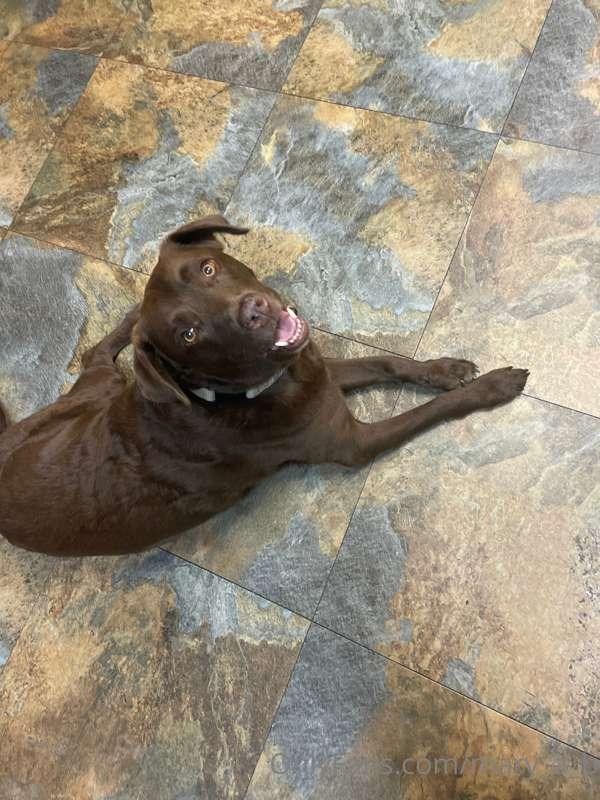 Glory girl is getting the best treatment for her cancer bc o..