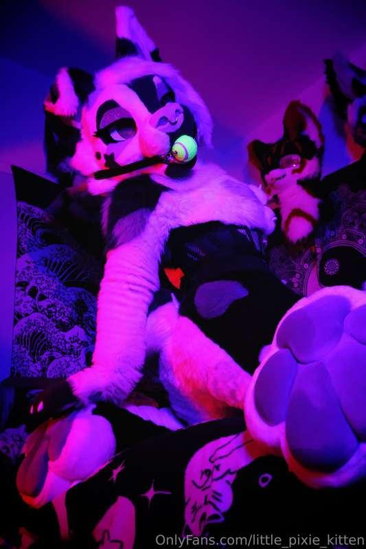 More pictures from last night ♡