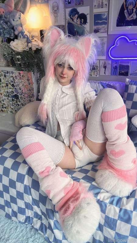 indigowhite image #154