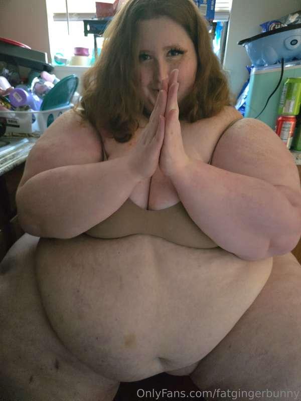 fatgingerbunny image #2