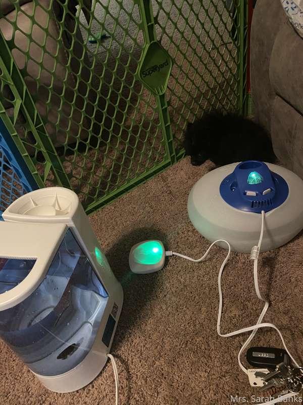 Sorry Ive been MIA guys one of my new puppies is sick with k..