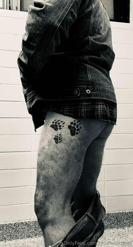 m1dwestbear image #3