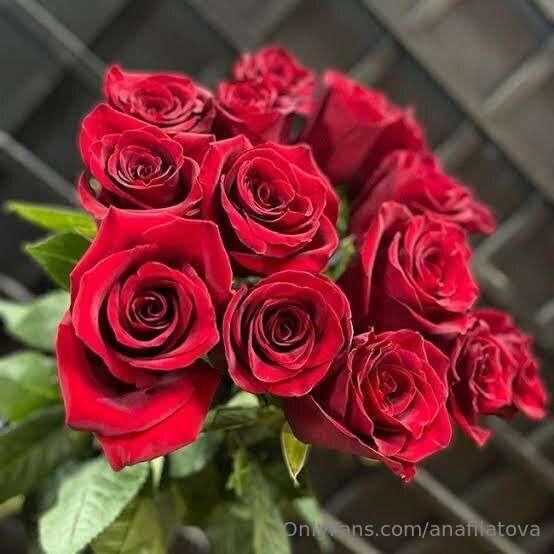 Hello everyone 🤝 Today is a wonderful day, the my birthday❤️..