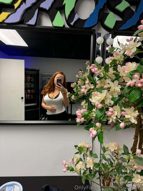 🌷🌸🌺🌼