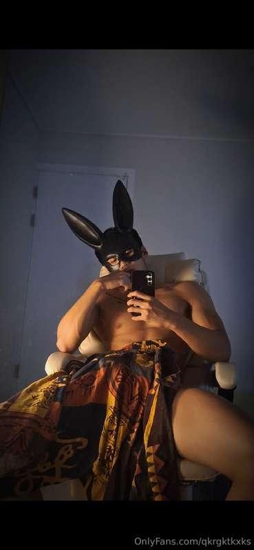 ㅎㅎㅎ찍고보니 머리는토끼고 속옷은 호랑이... 여러분은 토끼 vs 호랑이 과연 누가 본체인것 같나요☺️  추..