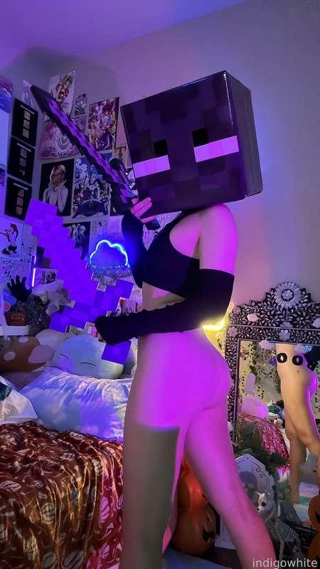 indigowhite image #321