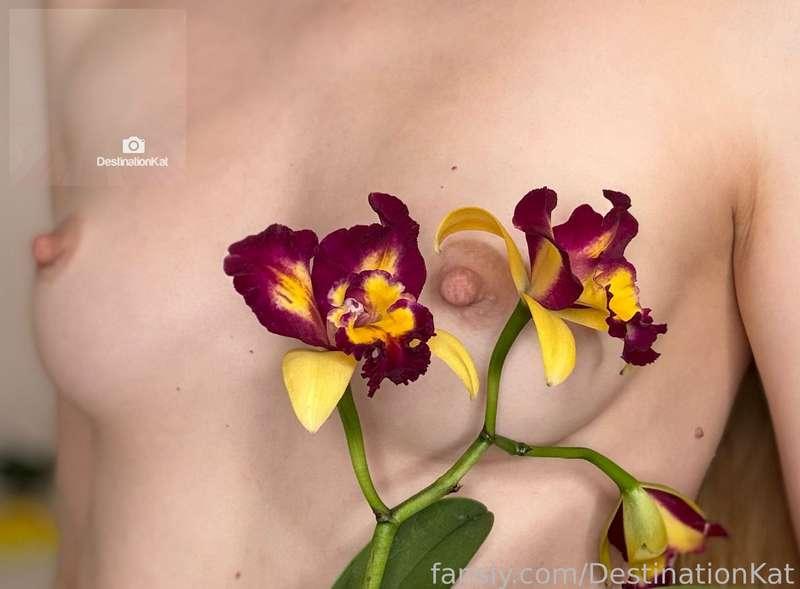 Do you like my flowers? Aren’t its petals so pretty?

#fyp #redhead #panties #pussy #inniepussy #shaved #closeup #spreading #smalltits #nipples 