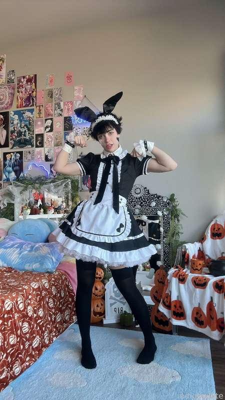indigowhite image #61