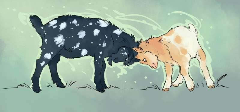 GOATS