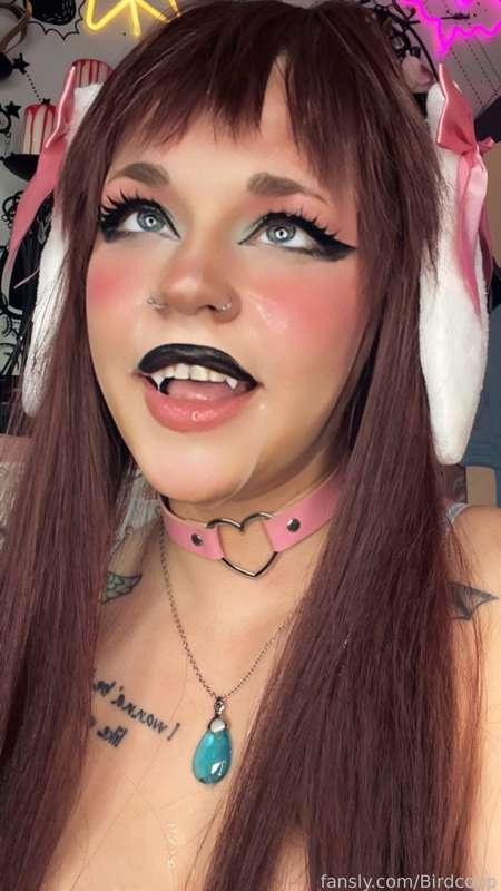 coophound image #11