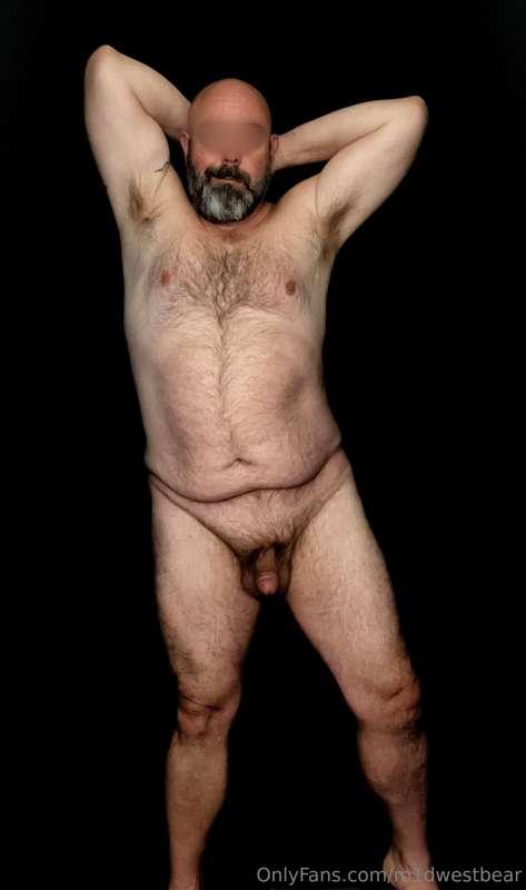 m1dwestbear image #2