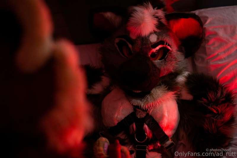 ad_rutt image #2