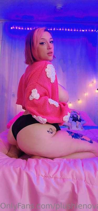 plushienova image #0