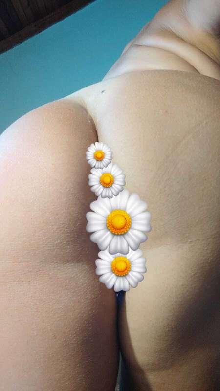 🌼 Pick up your flower baby 🌼