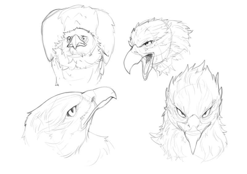 Eagle Practice / Doodle