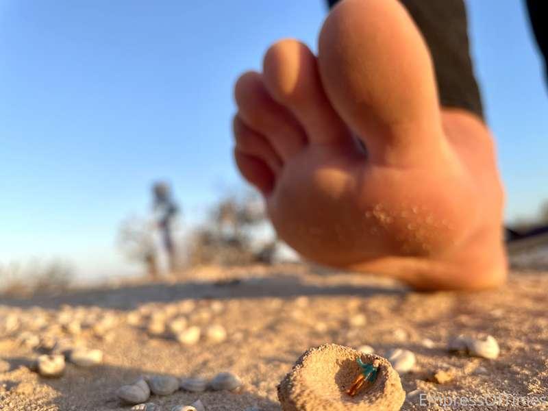 What you are seeing right here is a tiny who found himself a..