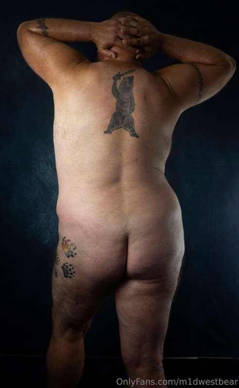 m1dwestbear image #4