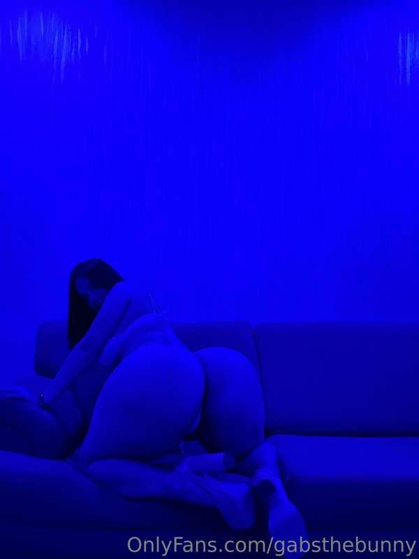 Adivinaste, me encanta de 🐕