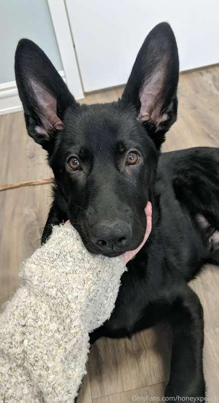 me, fishnets, your messages, check it out  and if you don't ..