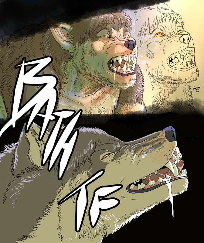 Bath-TF Sequence (Old Sketches)