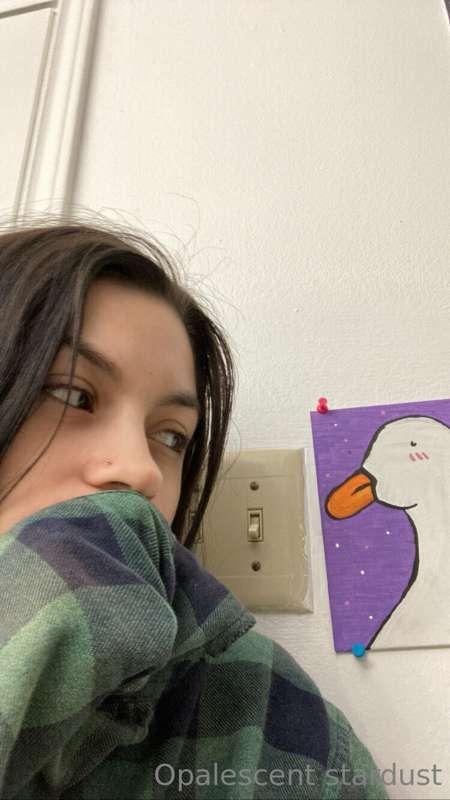 Who would win this fight?
Me or the duck? 🦆