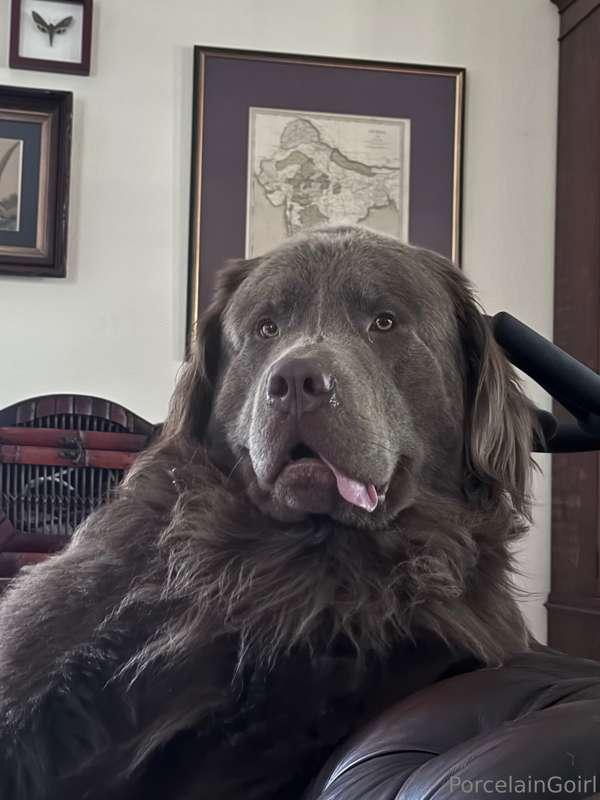 Did you just make a face at me? 😆