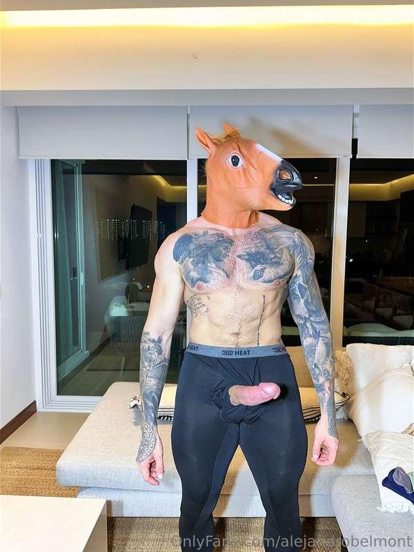 alejandrobelmont image #2