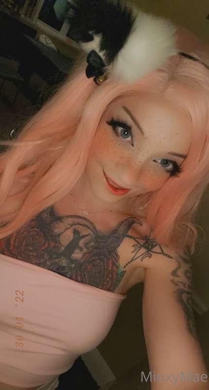 minxybites main image