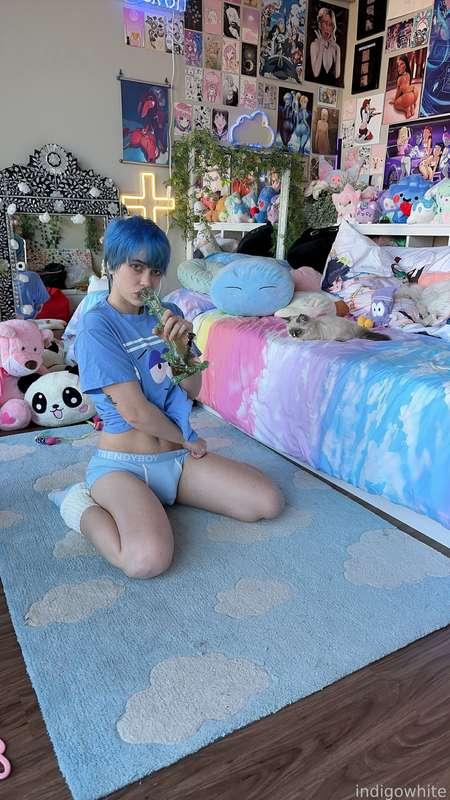 indigowhite image #43