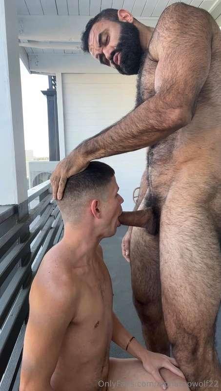alphatopwolf22 image #3