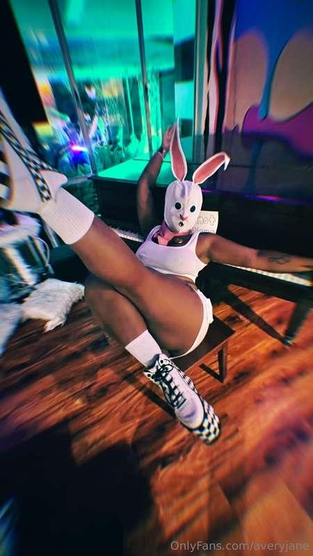 Let's get wild 🔥