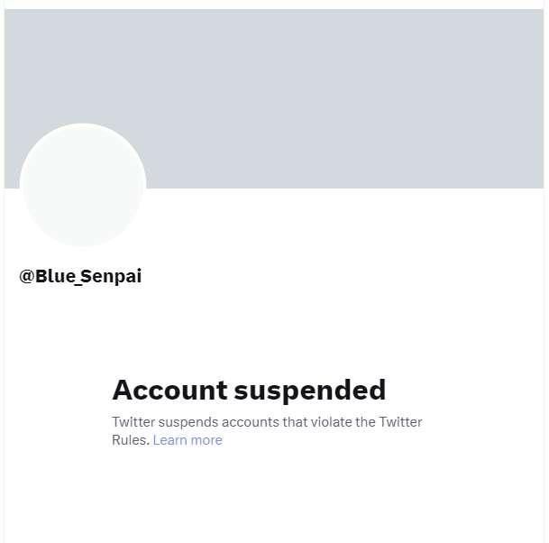 Twitter suspended