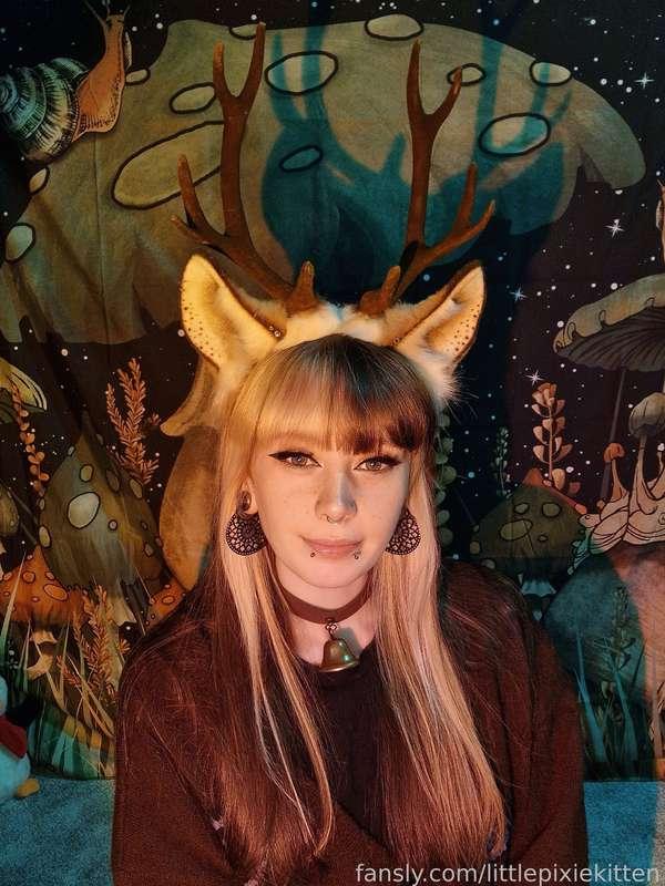 littlepixiekitten image #2