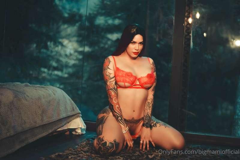 mamimorbosita image #0