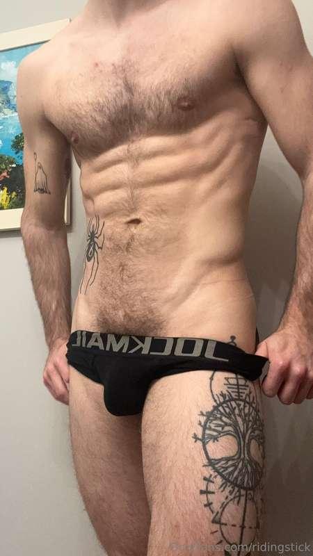 ridingstick image #2