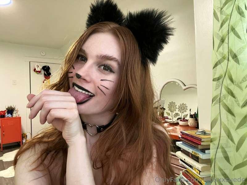 This kitty wants a lick