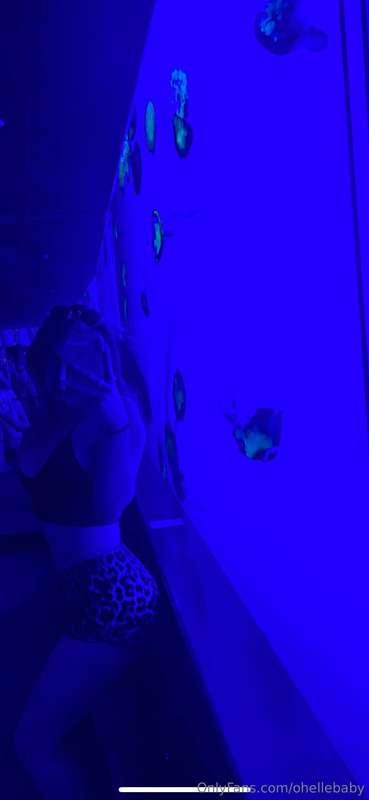 Those are real jellyfish 🪼 behind me and if you can get me h..