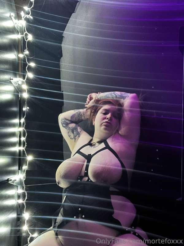 mortefoxxx image #3