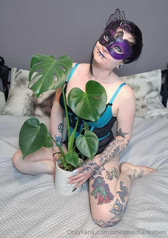 So I've been thinking about ditching the mask, and I'd like ..