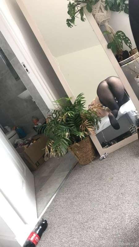 sunfl0werdoll image #7
