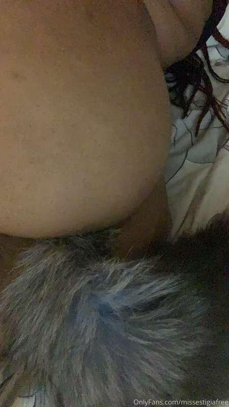 Arf Arf good night , daddy 🐶