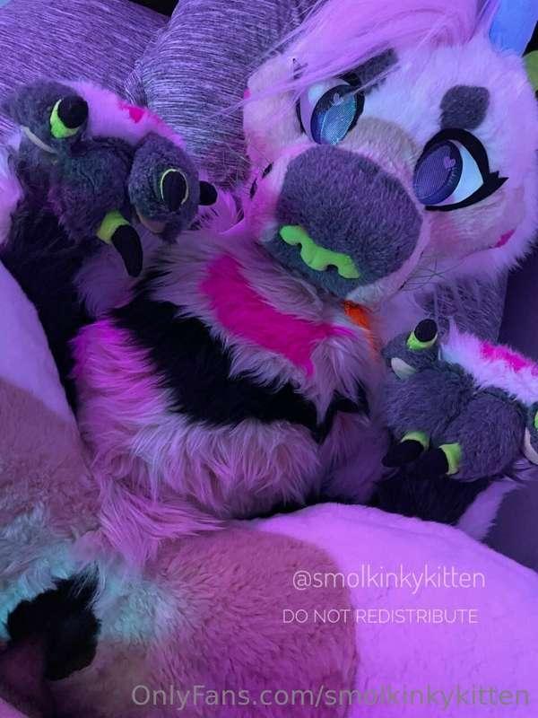 POV: You got this saber dragon all to yourself...listen to h..