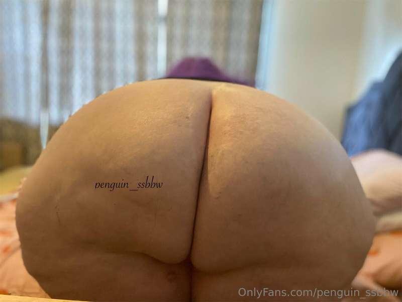 penguin_ssbbw image #2