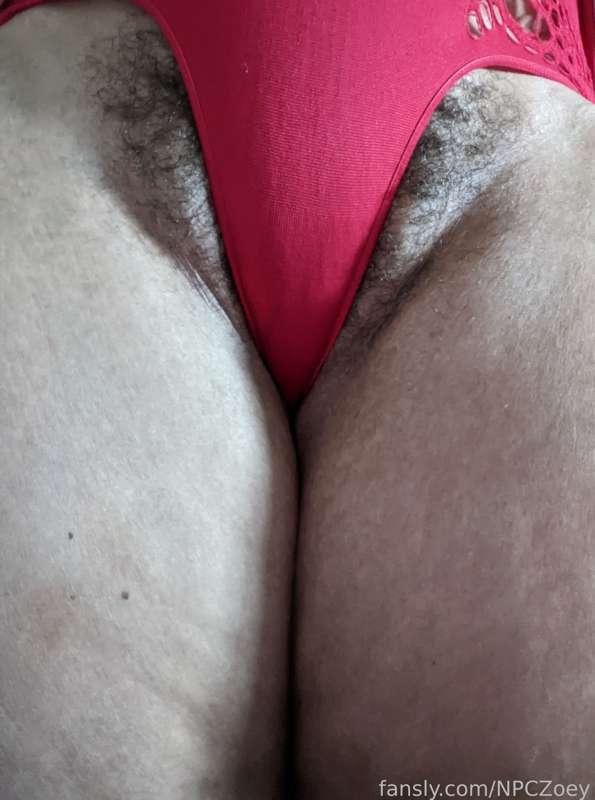 npczoey image #2