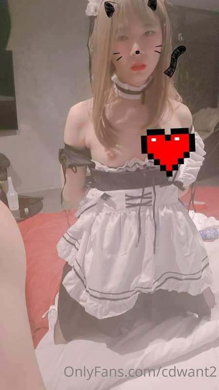 cdwant2 image #10