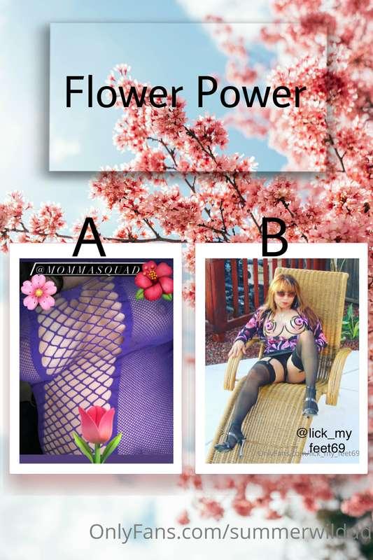 🏆 FLOWER POWER 🏆 Quarter-Finals   A: @mommasquad B: @lick_my..