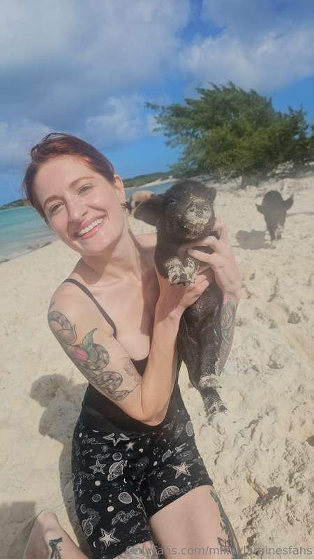 Pig island 🏝️ 🐷 !